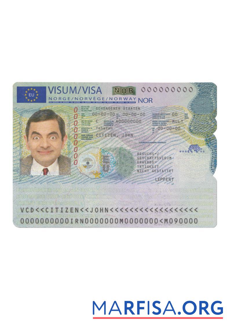 Realistic Norway schengen visa sample